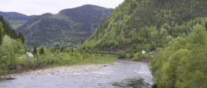 Pesca del salmón en el Río Gaula, Noruega