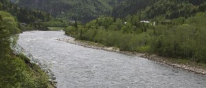 Pesca del salmón en el Río Gaula, Noruega