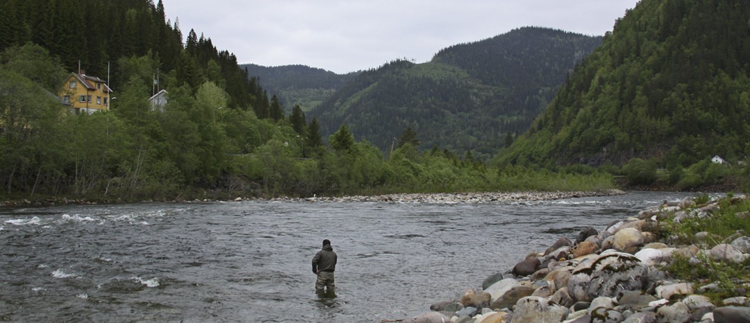 Gaula River