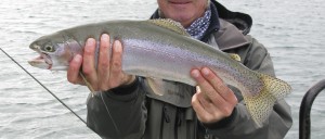 Trucha arco iris pescado en Lago Yelcho, Patagonia Chilena