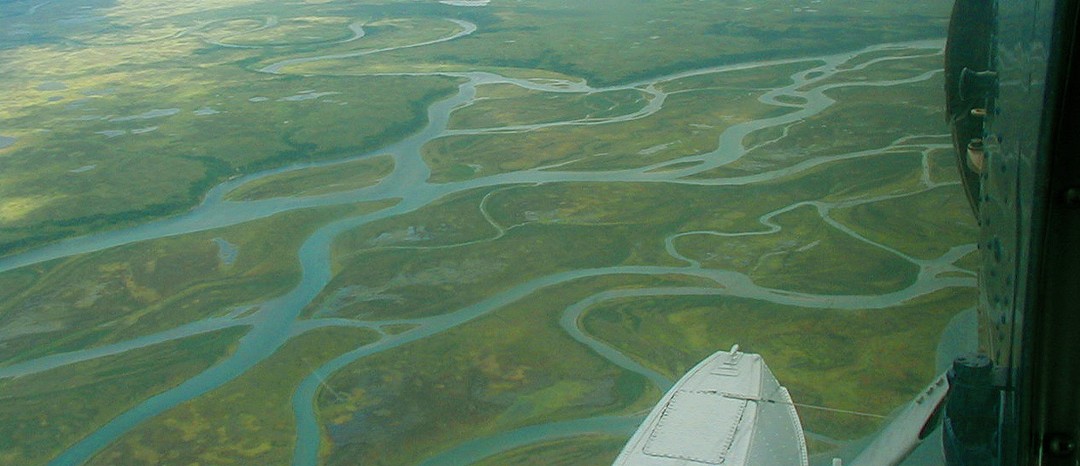 Kvichak River