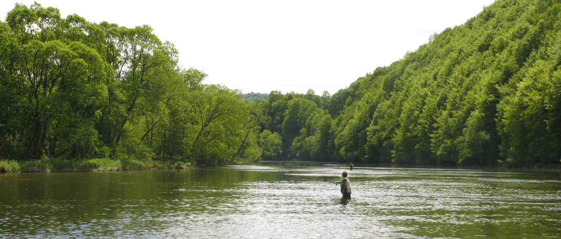 Pesca a Mosca en el Río San, Polonia