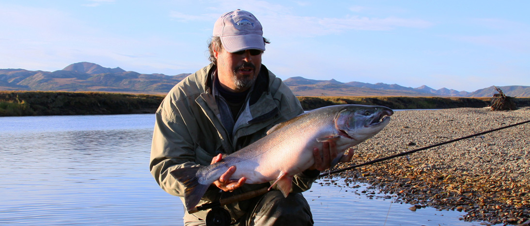 salmones coho Chinook volar pescado #5/0 Rey Salmón especial por la lluvia - Alaska Plata, 