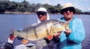 Amazonas de Brasil