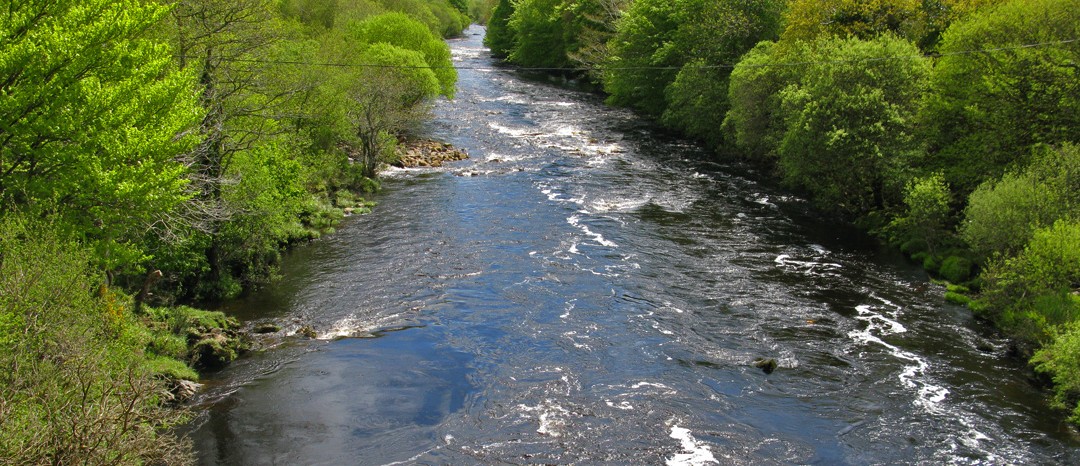 Salmones y reos en el río Finn, Irlanda