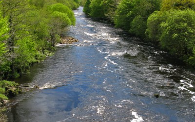 Salmones y reos en el río Finn, Irlanda