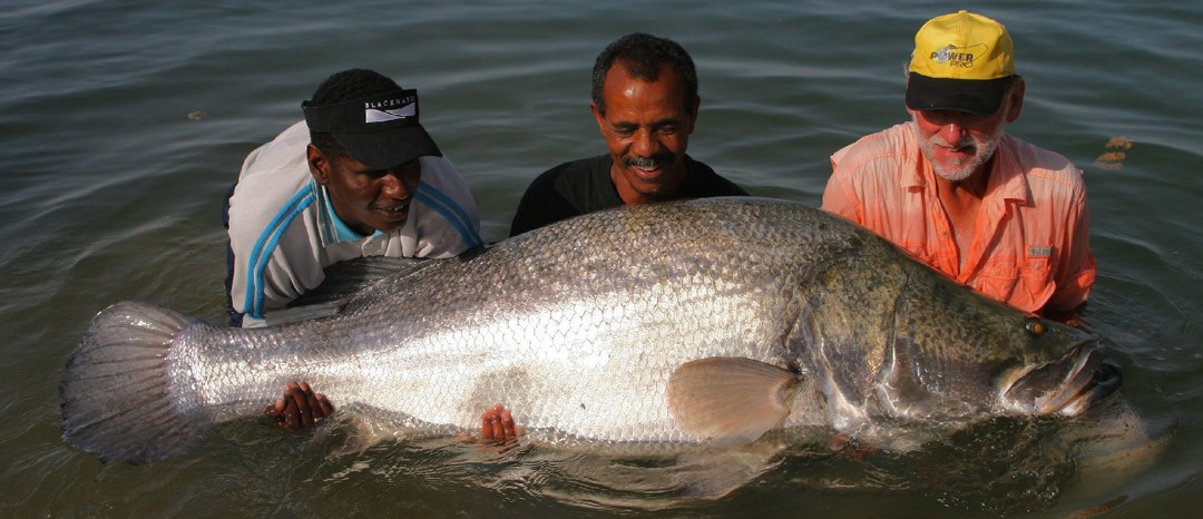 Lake Nasser