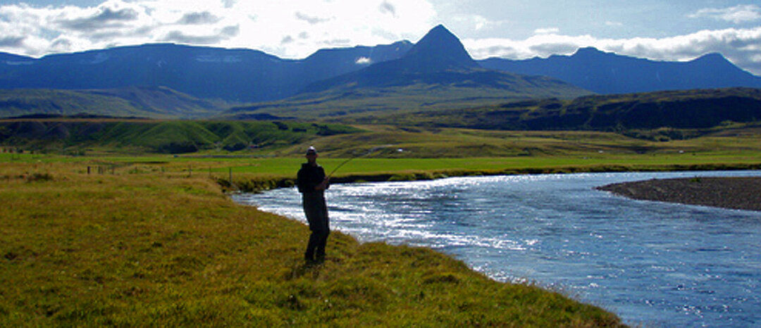 Atlantic Salmon