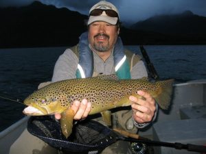 Yelcho brown trout