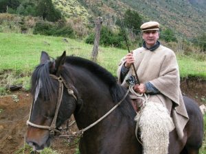 Chilean gaucho