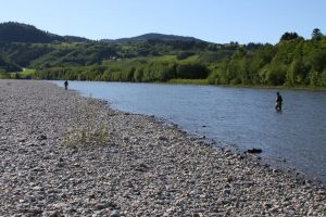 Norway Gaula Salmon Fishing