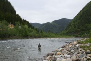 Norway Gaula Salmon Fishing