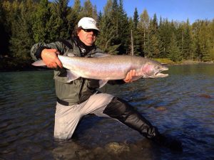 steelhead, canadá