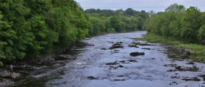 Pesca del Salmón en el Río Mourne, Irlanda del Norte