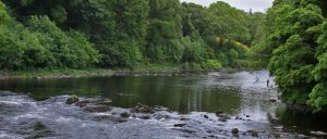Pesca del Salmón en el Río Mourne, Irlanda del Norte