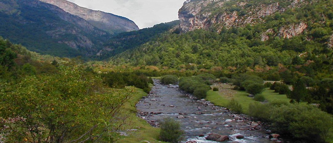 Guided Fly Fishing in the Pyrenees in Spain