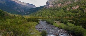 Pesca de trucha mosca con guía en el pirineo, españa