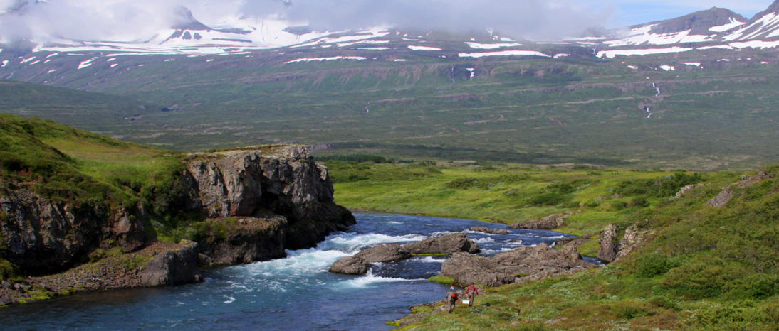 Iceland Atlantic salmon fishing in the Breiddalsa River