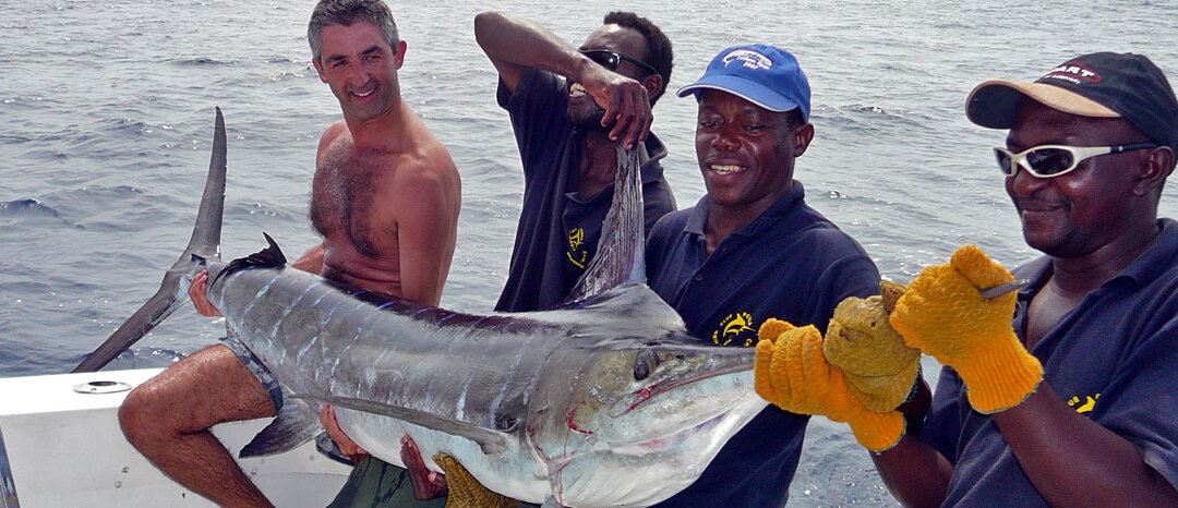 Marlín, Sailfish…