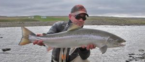 Pesca de salmón en el Río Midfjardará. Islandia