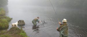 Pesca del salmón en el Río Mourne, Irlanda del Norte
