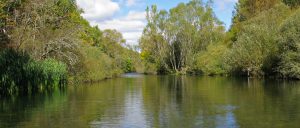 Pesca a Mosca con Guía en Palencia, España