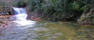 Pesca de trucha mosca con guía en el pirineo