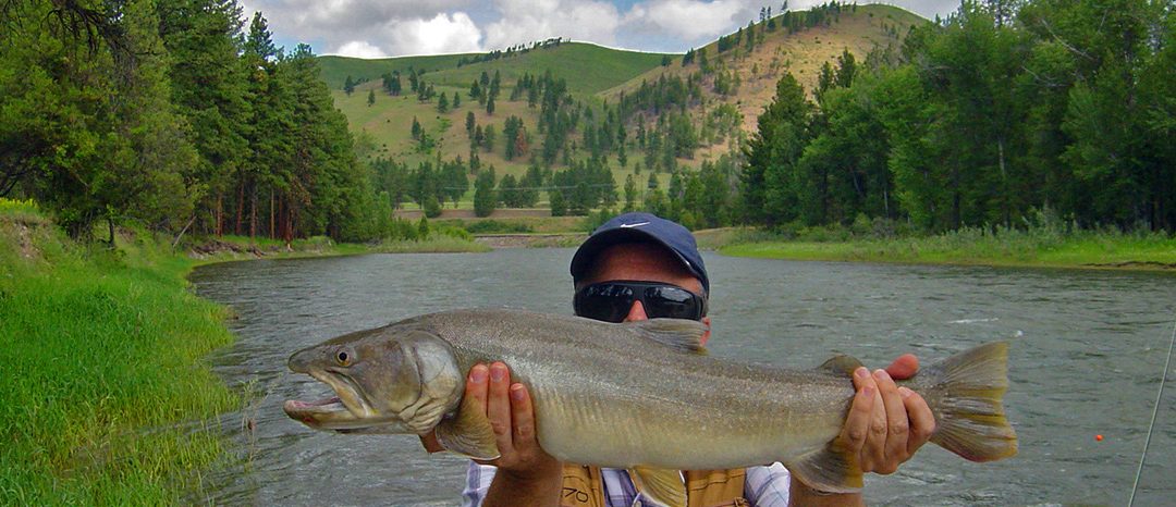 Montana
