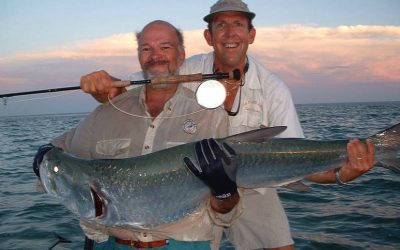 Tarpón, El Rey Plateado de los Cayos de Florida