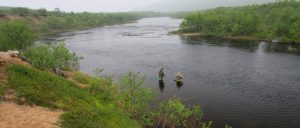 Pesca de Salmón a Mosca en el Río Drozdovka, Península de Kola, Rusia