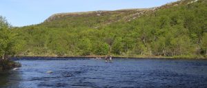 Fly fishing for Atlantic salmon in the Drozdovka River, Kola Peninsula, Russia