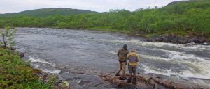 Pesca de Salmón a Mosca en el Río Drozdovka, Península de Kola, Rusia