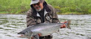 Fly fishing for Atlantic salmon in the Drozdovka River, Kola Peninsula, Russia