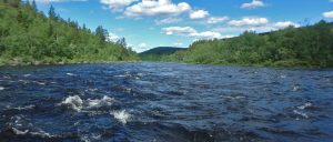 Floating the Kola River