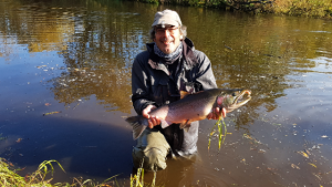 Kamchatka silver salmon fishing