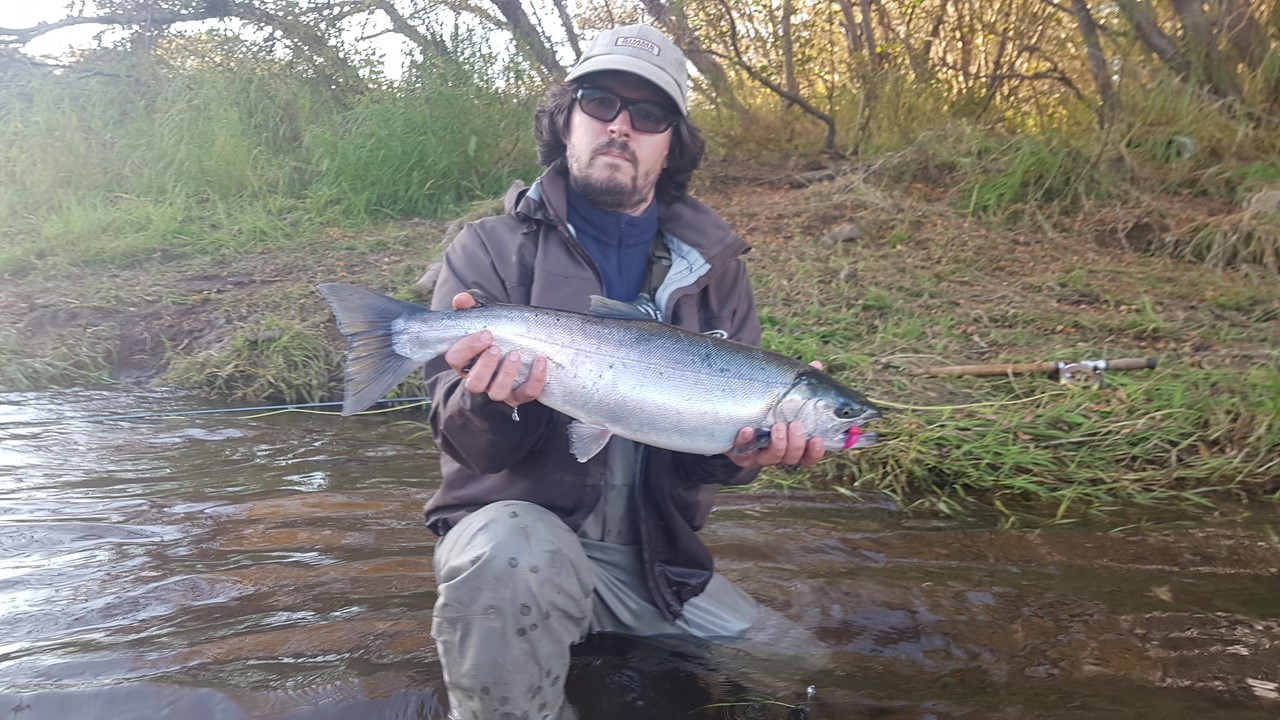 Kamchatka silver salmon fishing