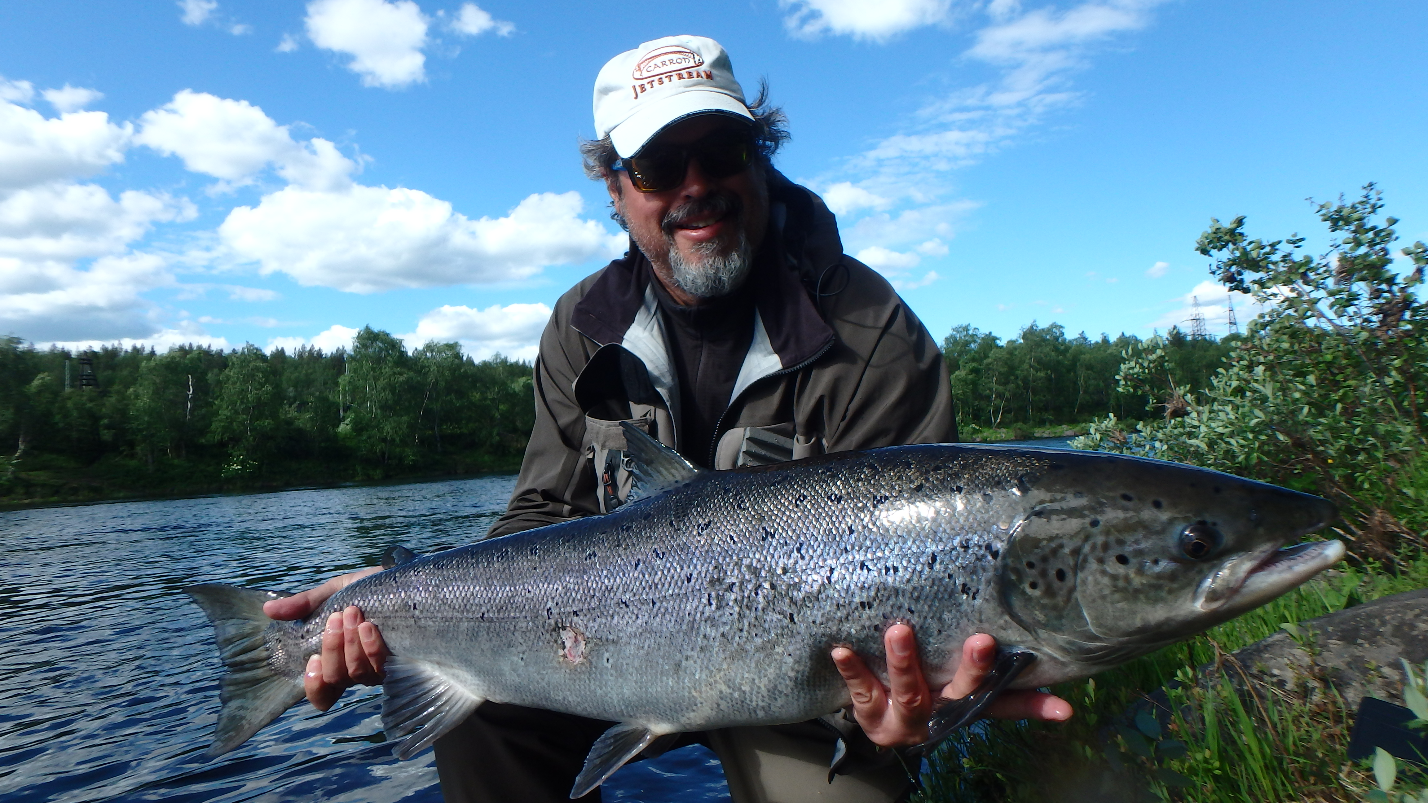 Kola River salmon