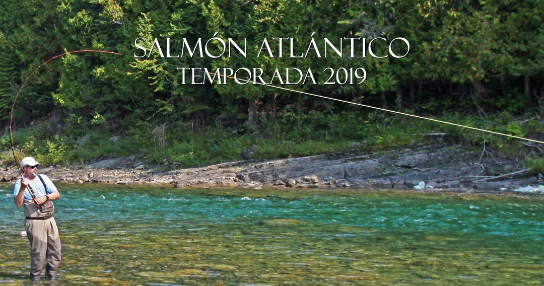 PESCA DE SALMON ATLANTICO EN 2019