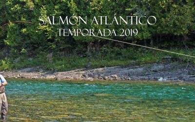 PESCA DE SALMON ATLANTICO EN 2019