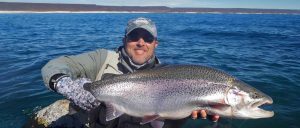 Giant Lake Strobel rainbow trout