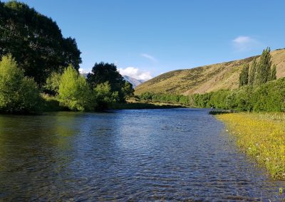 where to fish in New Zealand