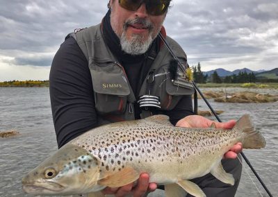 New Zealand Brown Trout