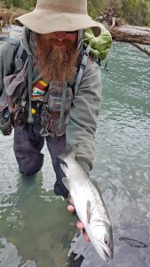 Trucha Fario de Nueva Zelanda