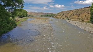 Río truchero en Nueva Zelanda