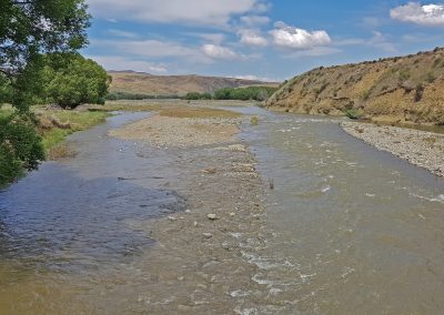 Río truchero en Nueva Zelanda