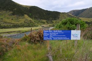 Camino al río en NZ