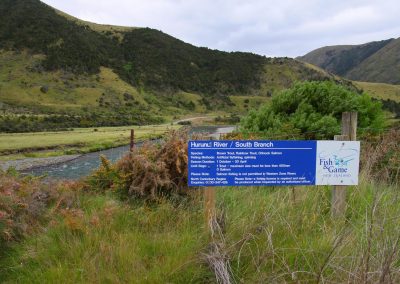 Camino al río en NZ