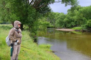 Guía de pesca en Nueva Zelanda