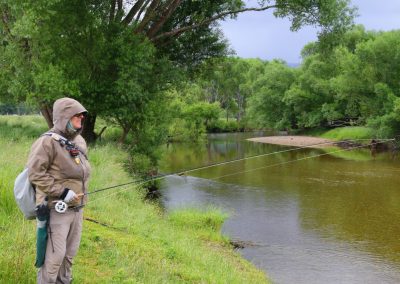 Guía de pesca en Nueva Zelanda