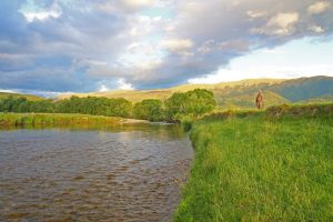 Río truchero en Nueva Zelanda